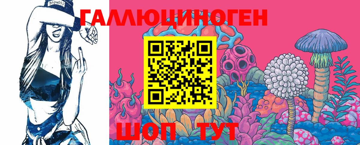 Псилоцибиновые грибы Cubensis Великий Новгород