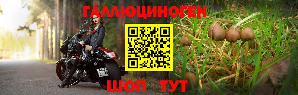 Великий Новгород  Галлюциногенные грибы MAGIC MUSHROOMS  Вход с VPN  Псилоцибиновые грибы мухоморы 